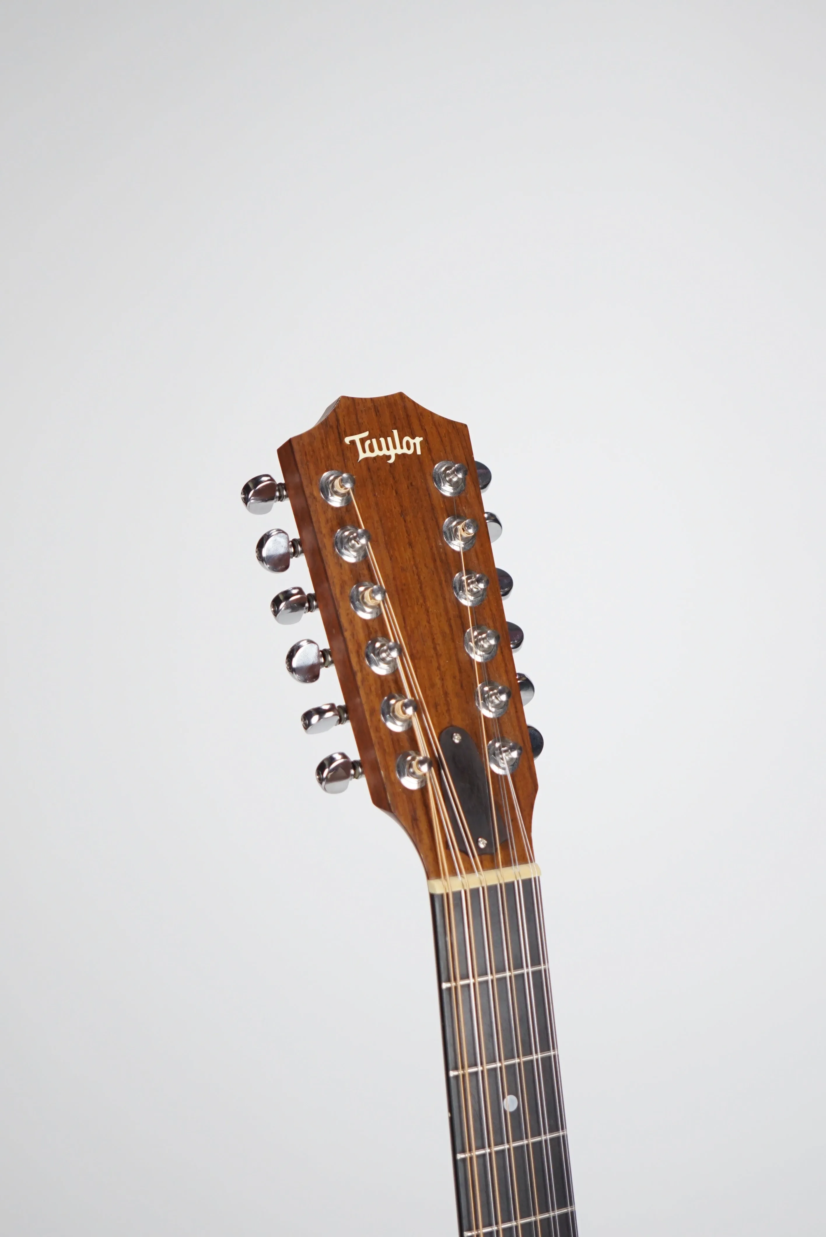 2003 Taylor 355ce L1