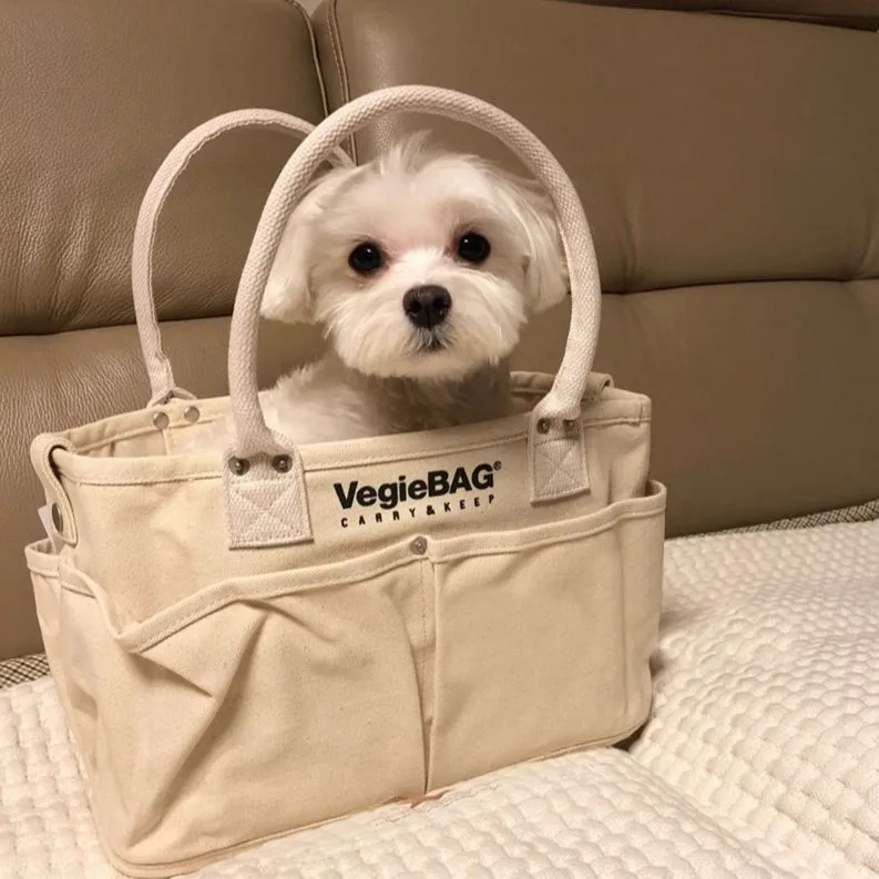 Christmas Gift Fashion Canvas Letter Shoulder Crossbody Bags For Women Large Capacity Handbags Tote Bags 2021 Female Commuter Solid Mommy Bag
