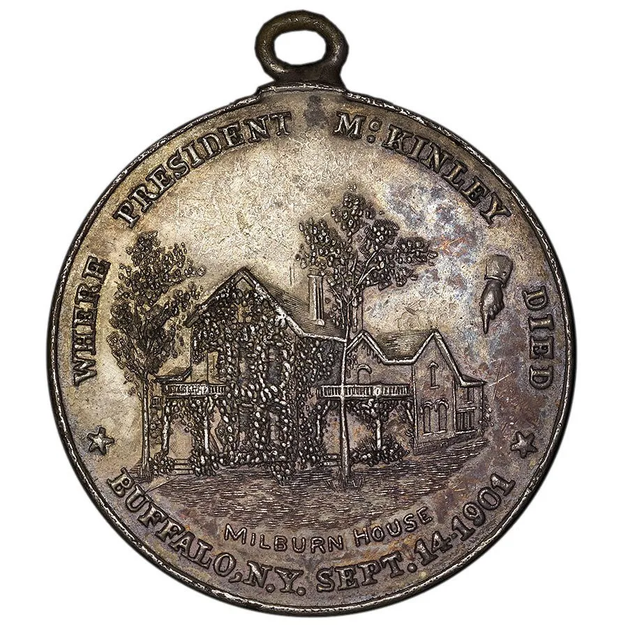 Curious 1901 McKinley Assassination Silver Medal - About Uncirculated/Loupe Added
