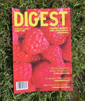 Digest Magazine: Volume 3, Issue 1