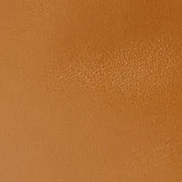 Leyden Mini bag