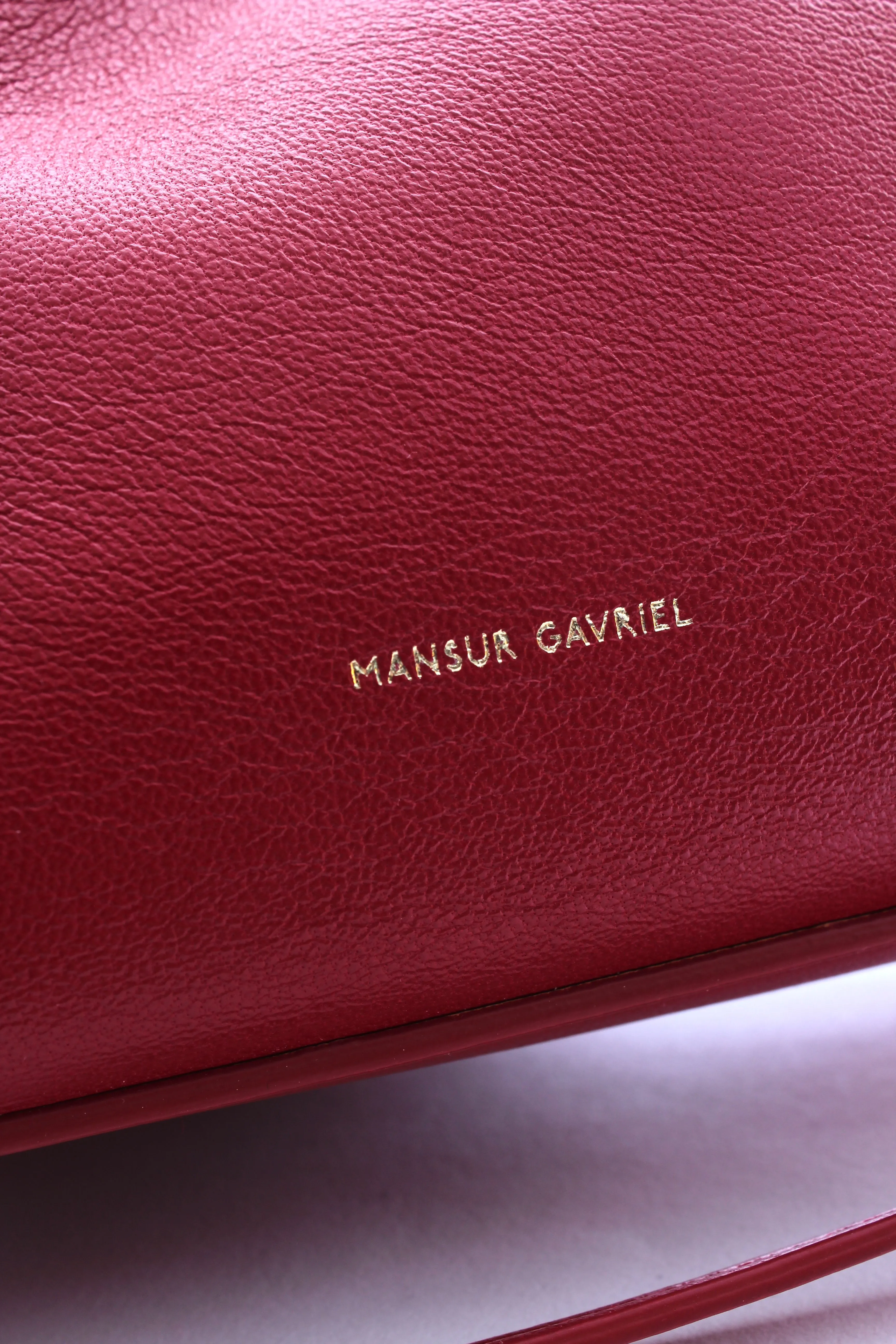 Mansur Gavriel Protea Mini Lambskin Bag