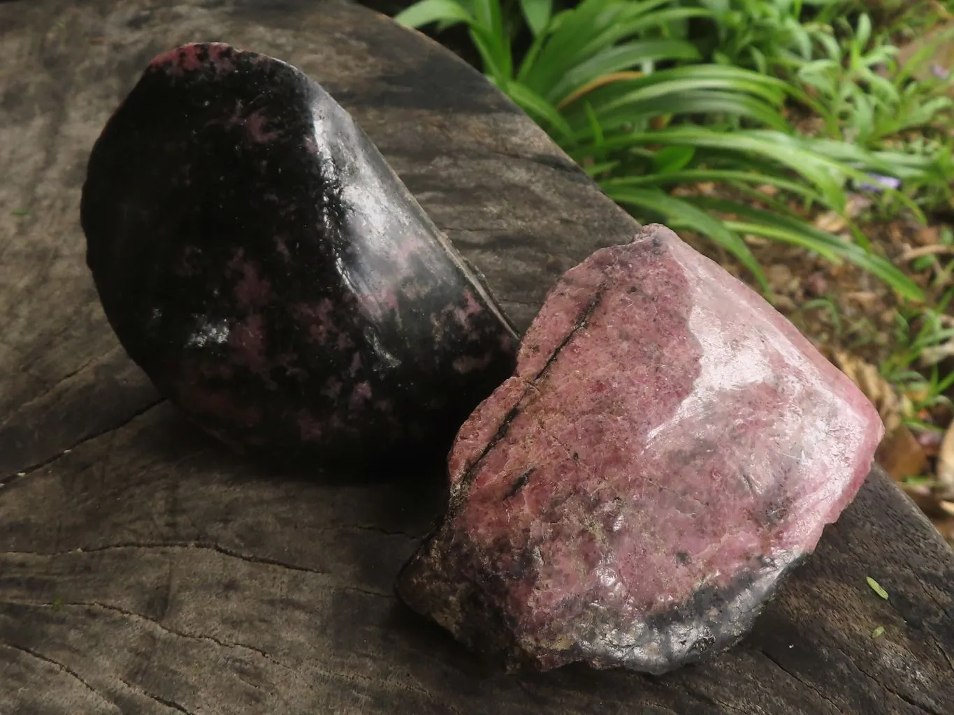Polished One Side Natural Rhodonite Free Forms x 5 From Madagascar