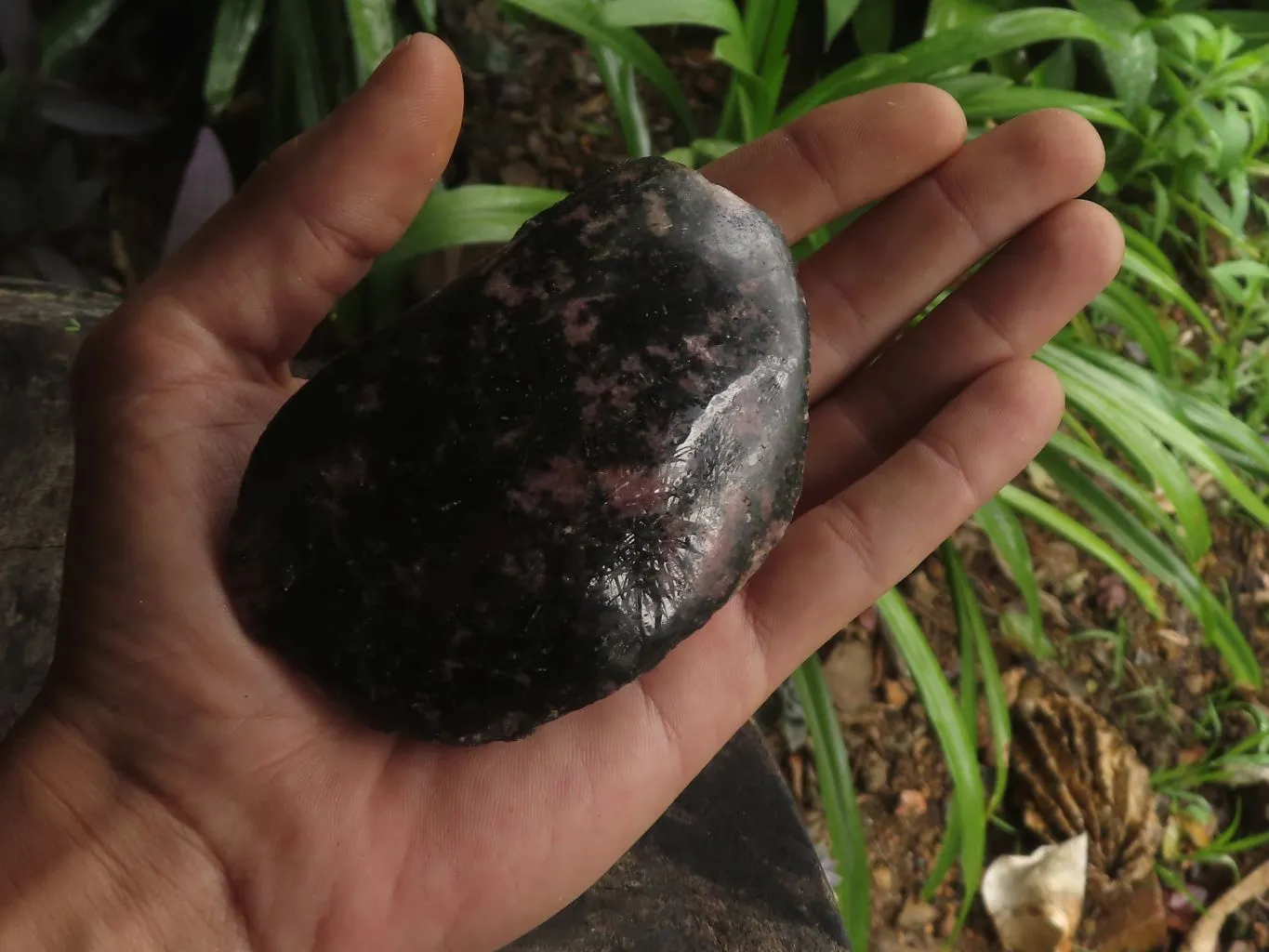 Polished One Side Natural Rhodonite Free Forms x 5 From Madagascar