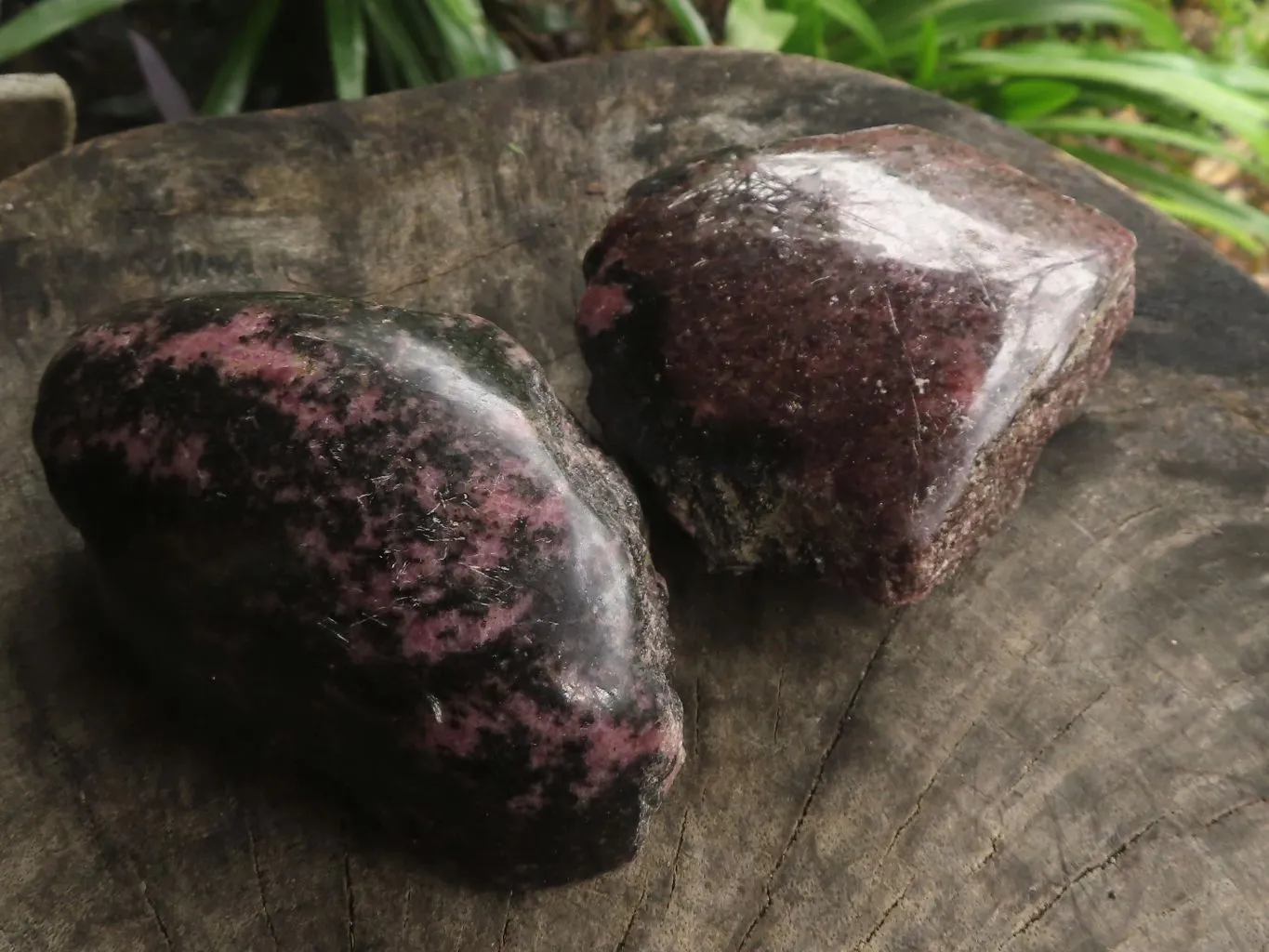 Polished One Side Natural Rhodonite Free Forms x 5 From Madagascar