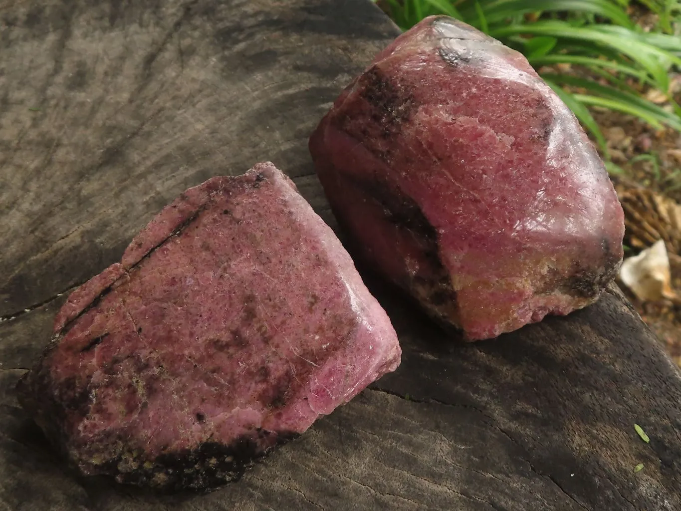 Polished One Side Natural Rhodonite Free Forms x 5 From Madagascar