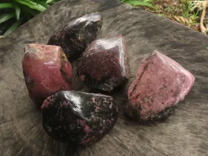 Polished One Side Natural Rhodonite Free Forms x 5 From Madagascar