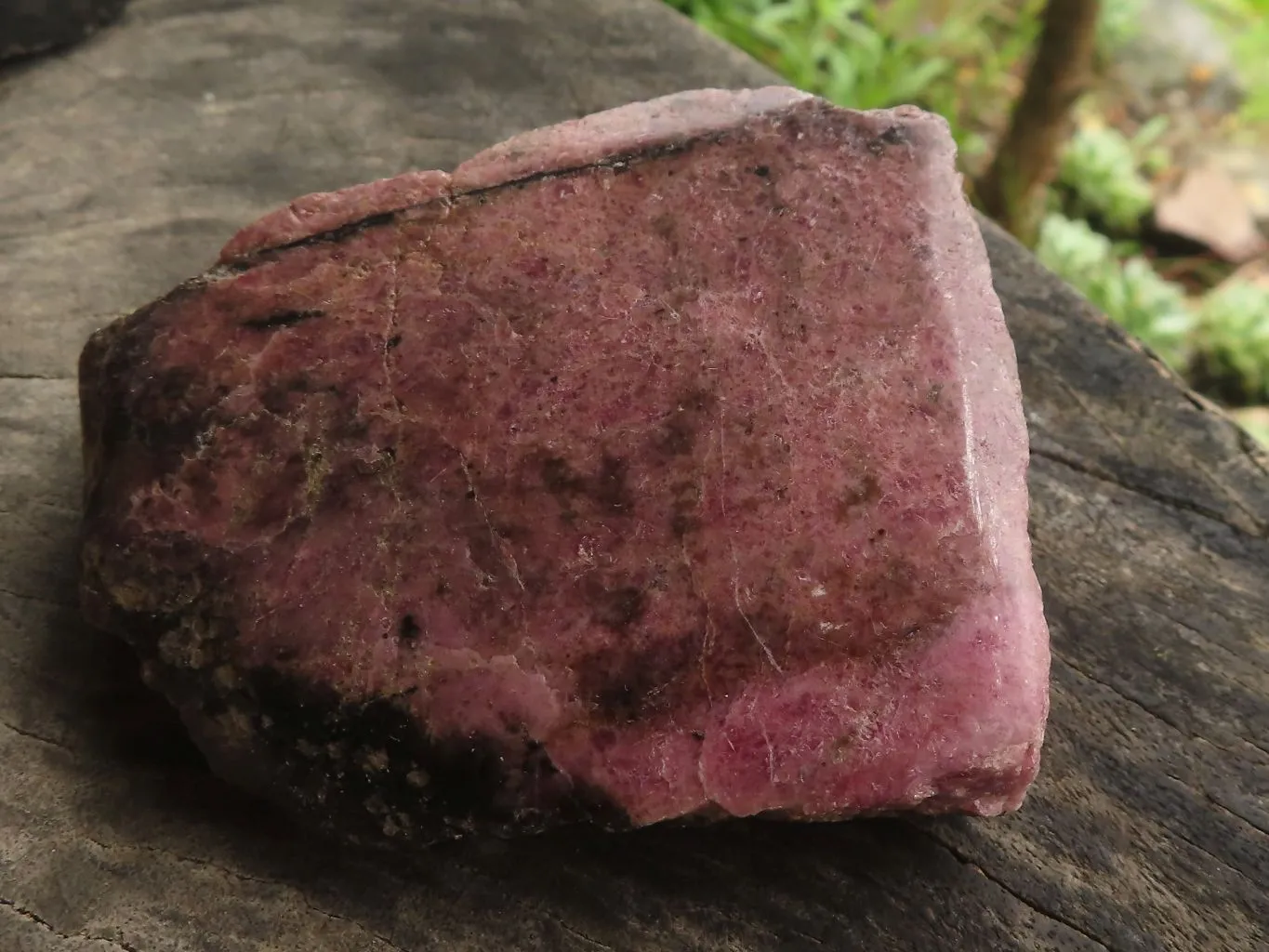 Polished One Side Natural Rhodonite Free Forms x 5 From Madagascar