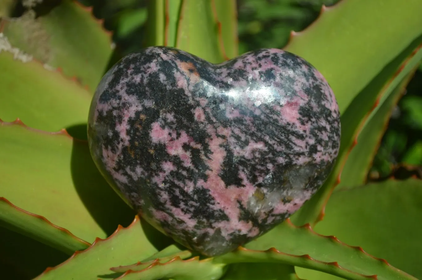 Polished Pink & Black Rhodonite Hearts x 4 From Madagascar