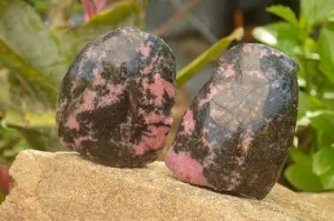 Polished Pink Rhodonite Free Forms x 4 From Madagascar
