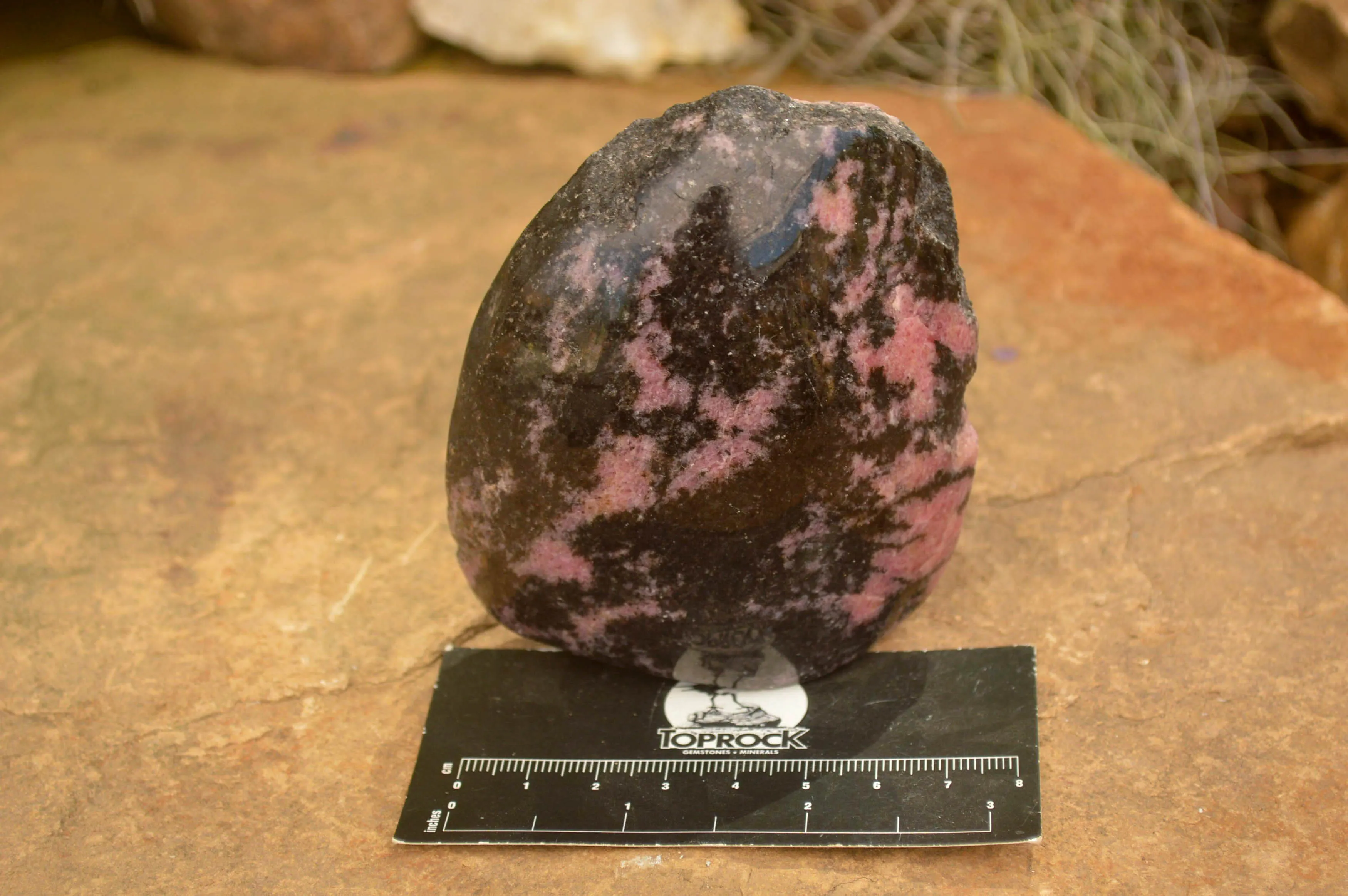 Polished Pink Rhodonite Free Forms x 4 From Madagascar
