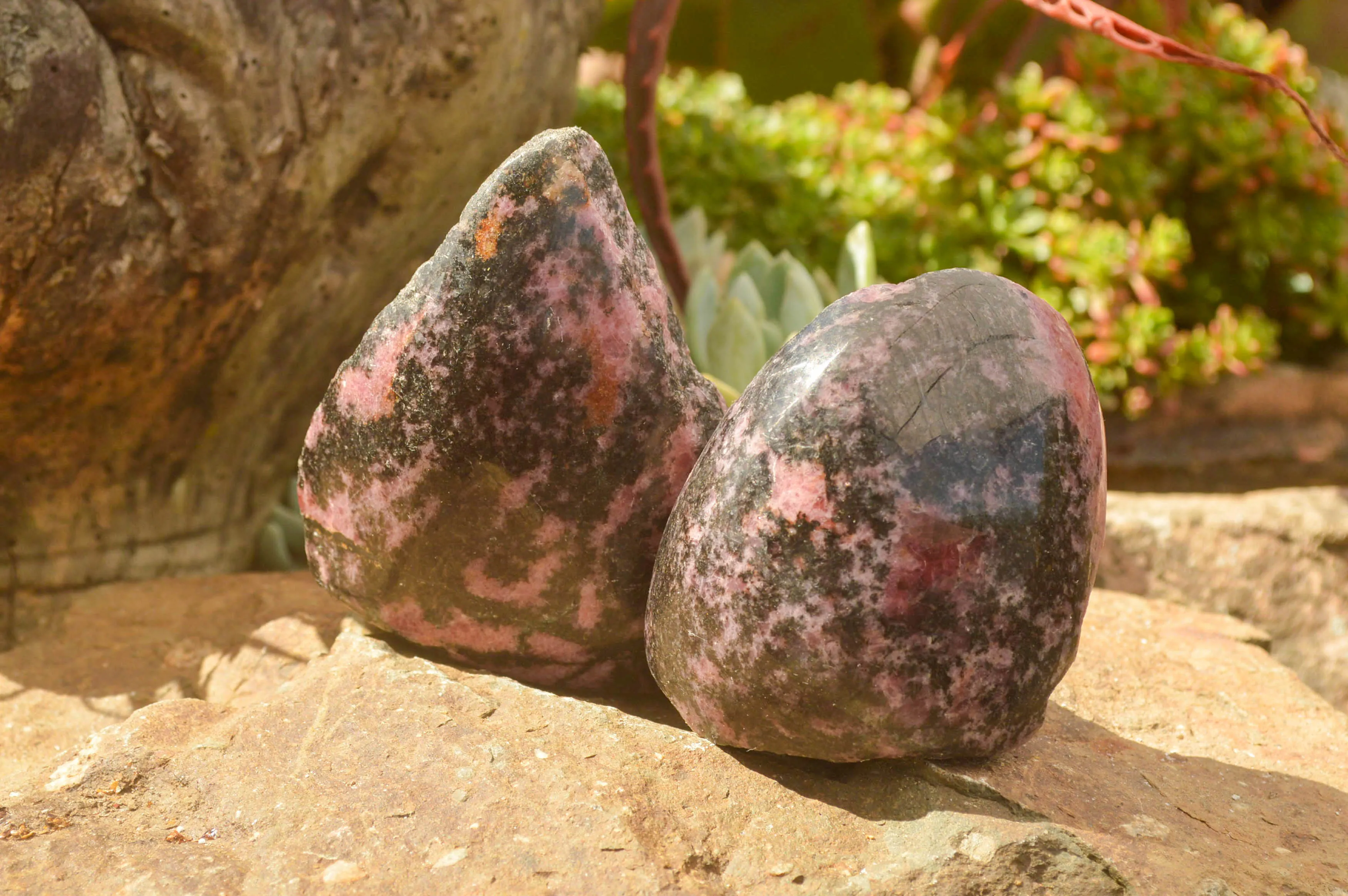 Polished Pink Rhodonite Free Forms x 4 From Madagascar