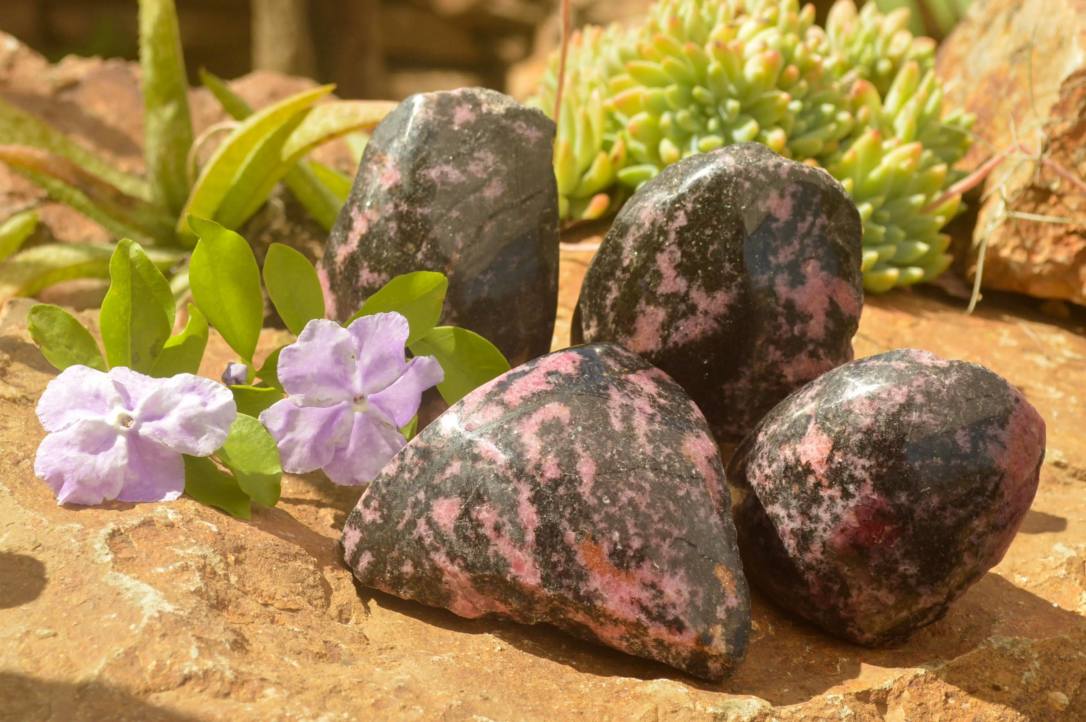 Polished Pink Rhodonite Free Forms x 4 From Madagascar