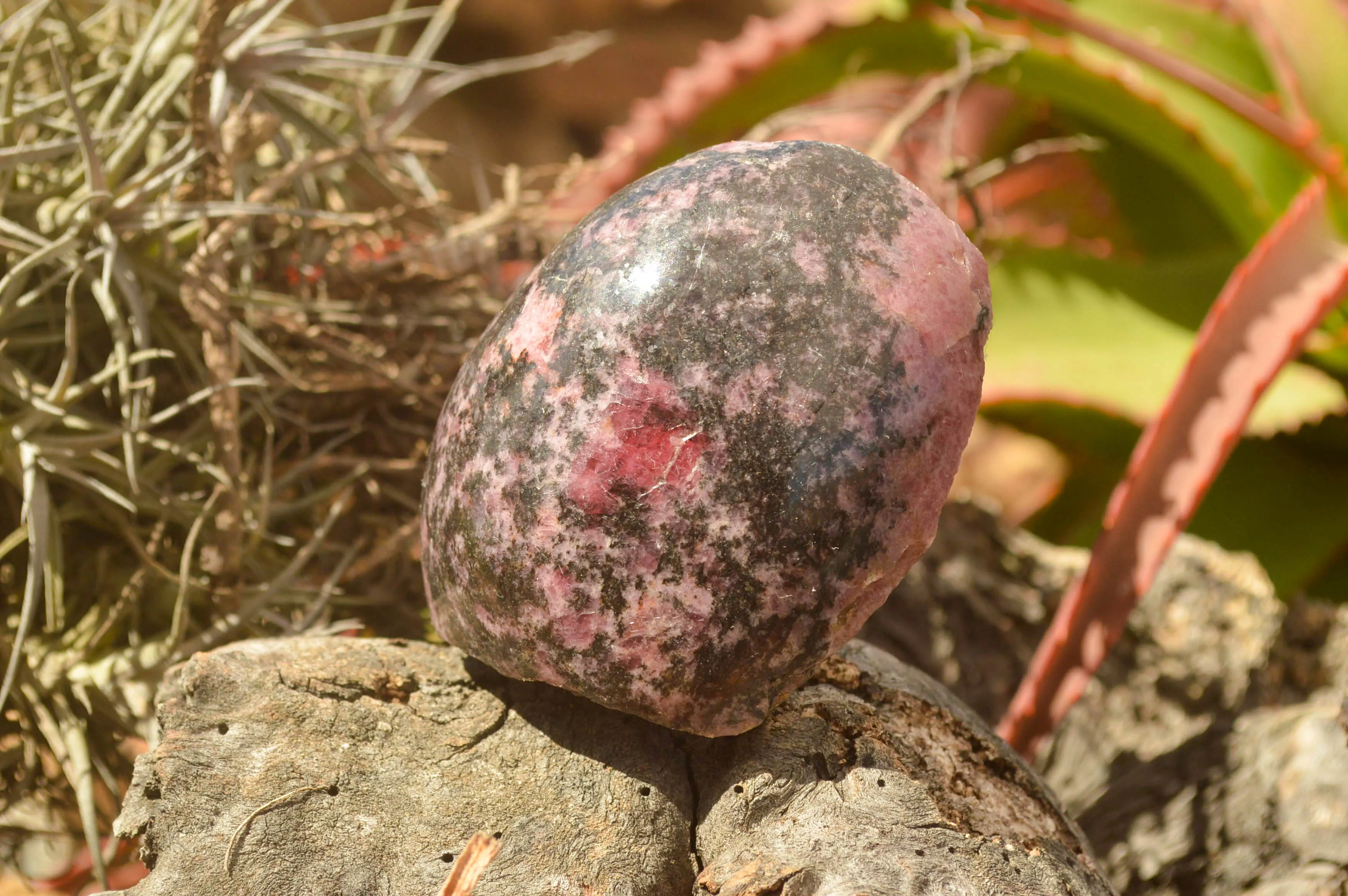 Polished Pink Rhodonite Free Forms x 4 From Madagascar