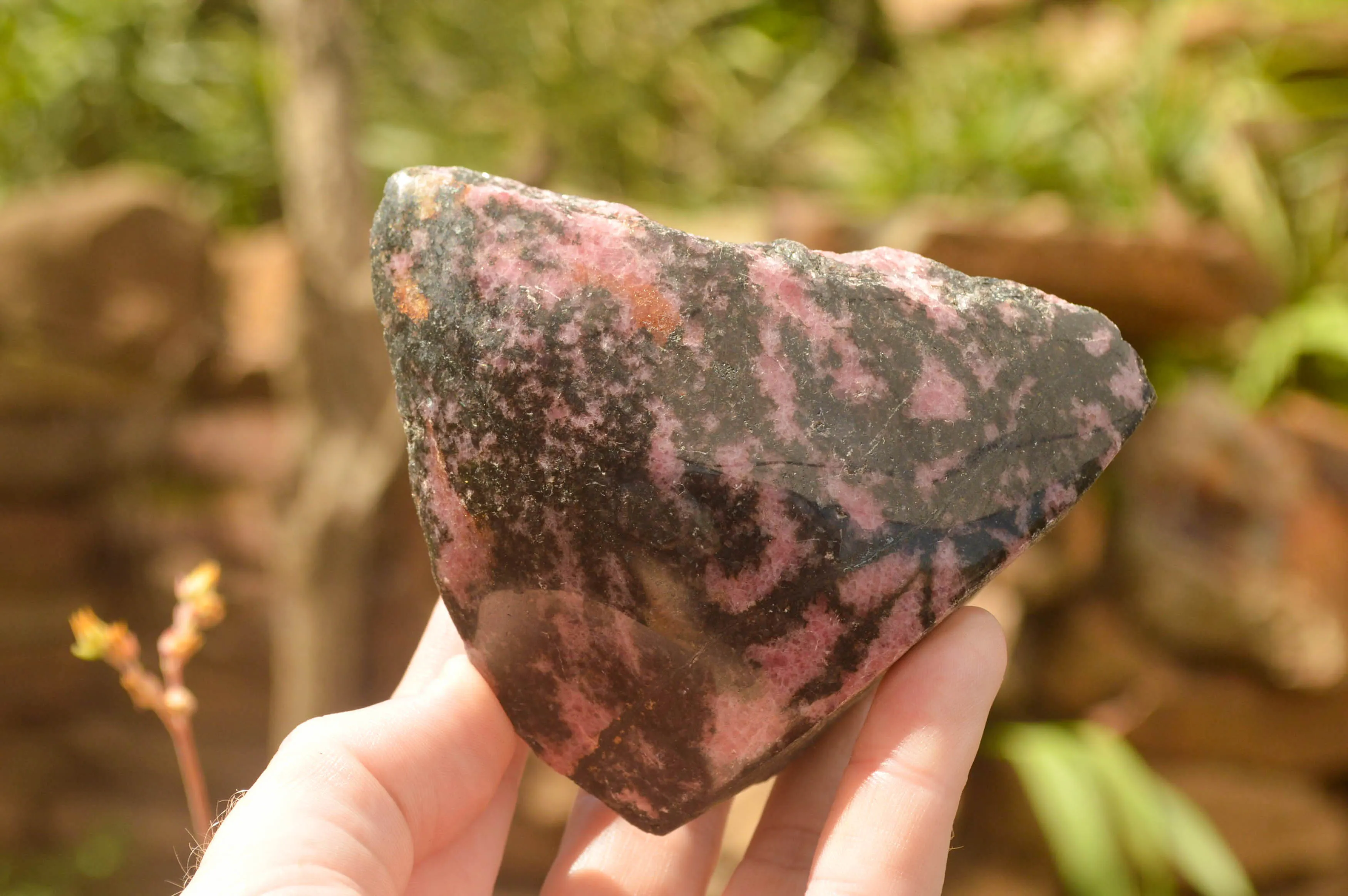 Polished Pink Rhodonite Free Forms x 4 From Madagascar