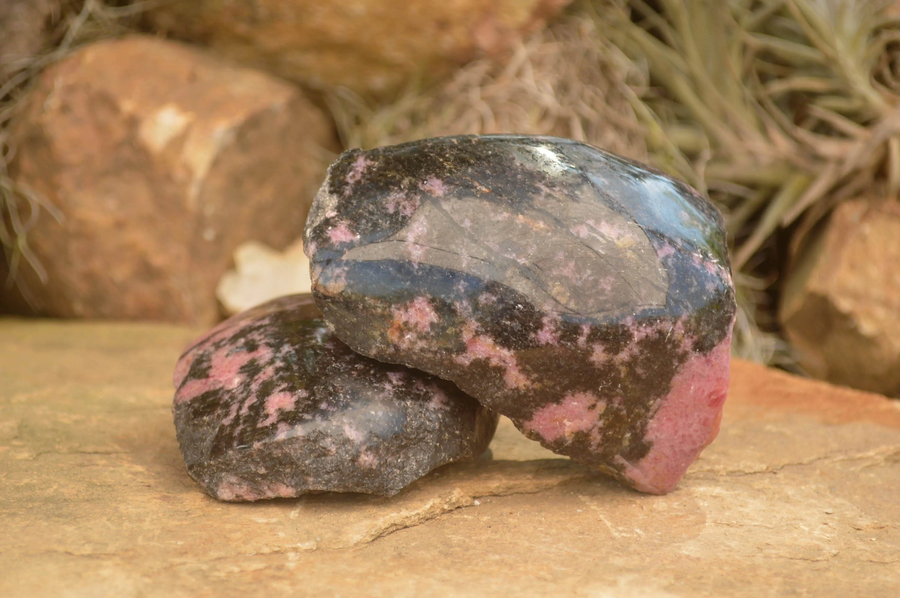 Polished Pink Rhodonite Free Forms x 4 From Madagascar