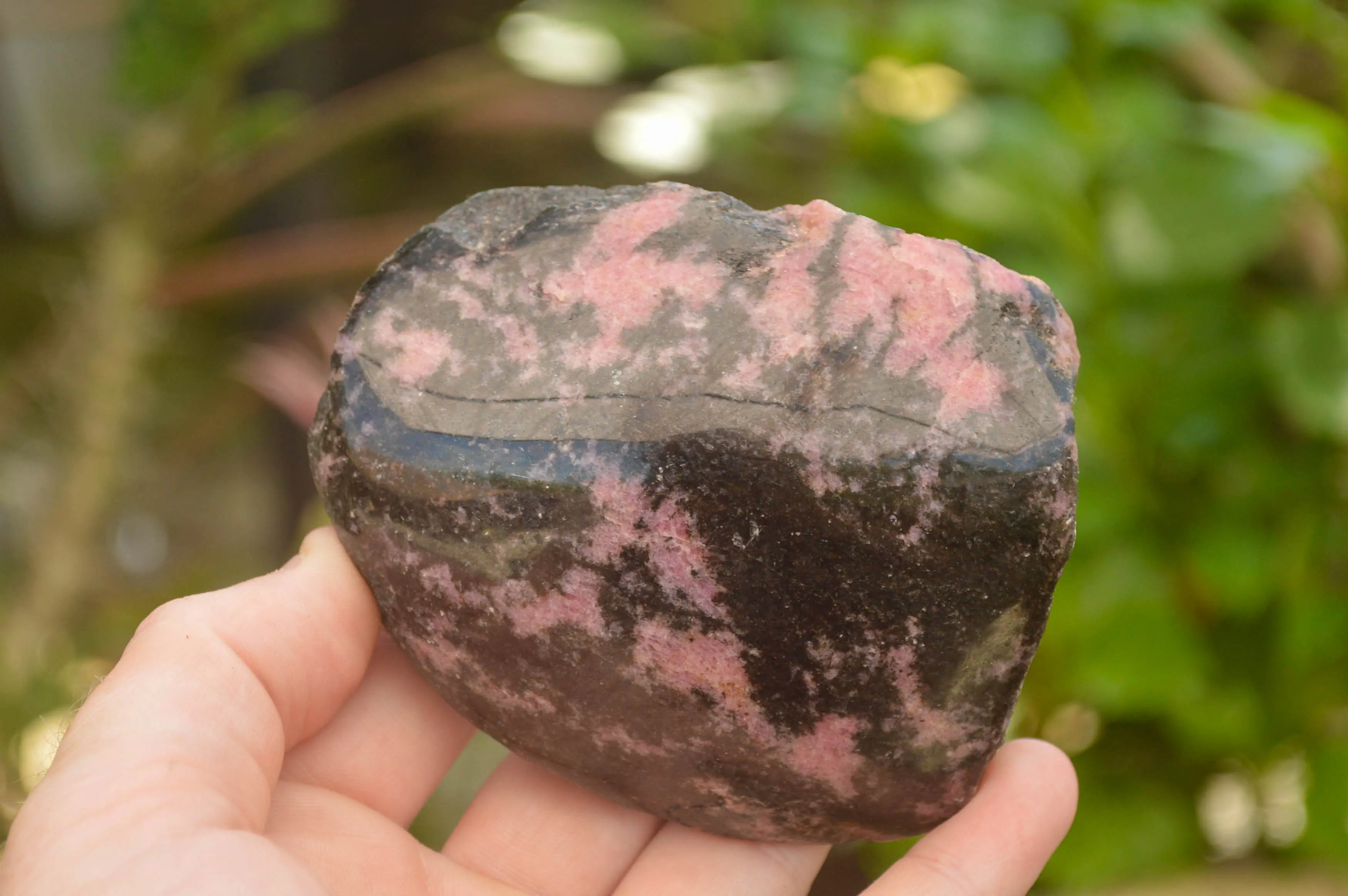 Polished Pink Rhodonite Free Forms x 4 From Madagascar