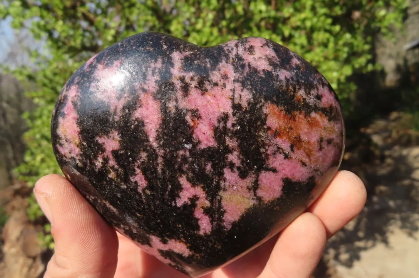 Polished Rhodonite Hearts x 2 From Madagascar