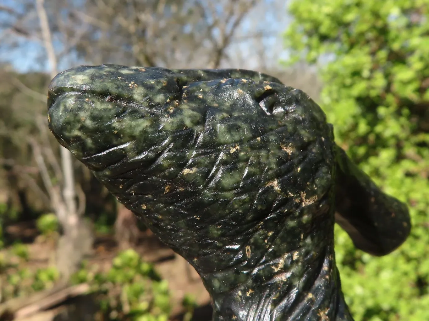 Polished Serpentine Dinosaur Carving x 1 From Zimbabwe