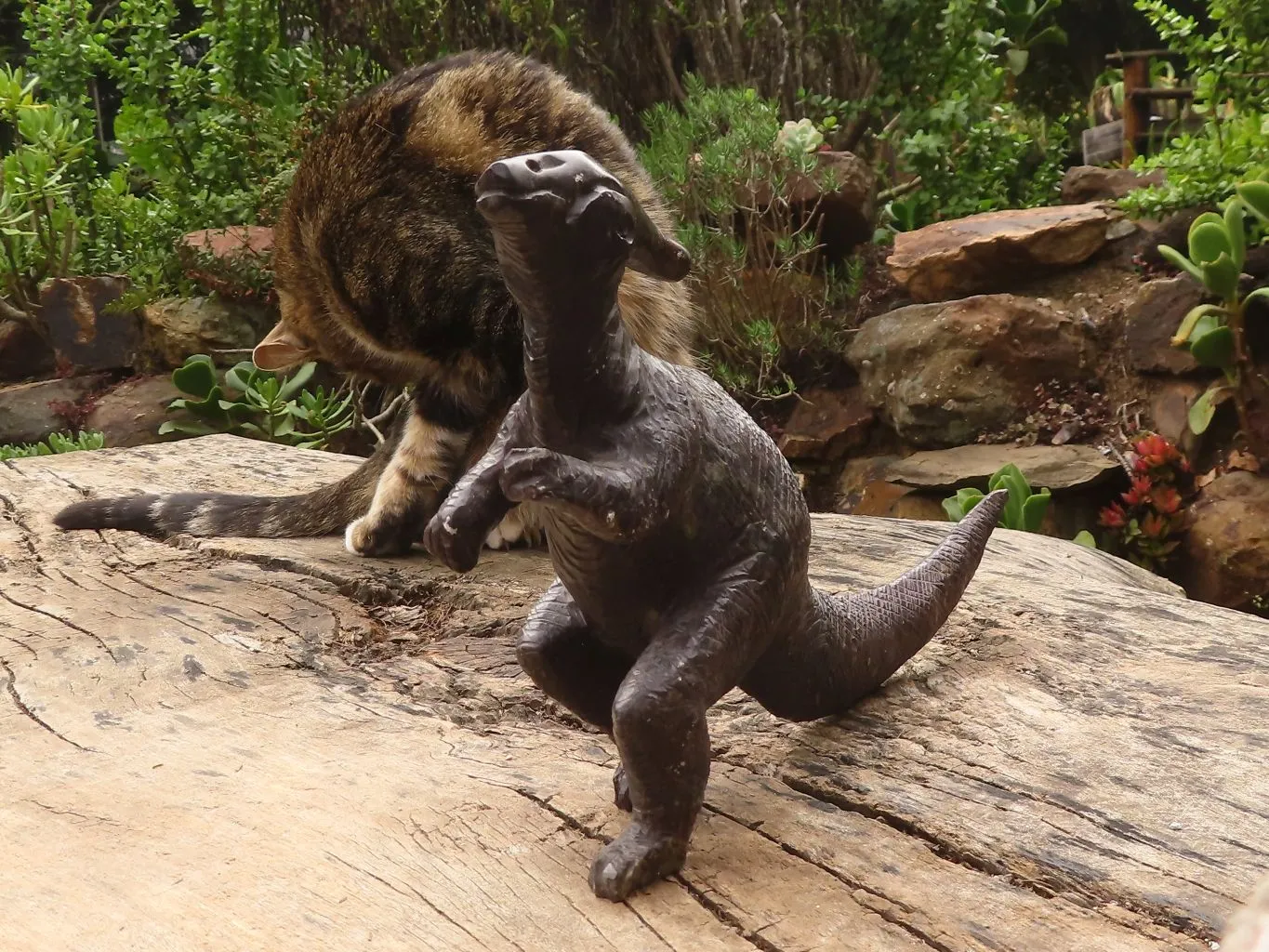 Polished Soap Stone Dinosaur Carving x 1 From Zimbabwe