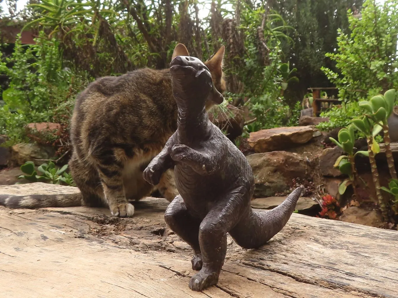 Polished Soap Stone Dinosaur Carving x 1 From Zimbabwe