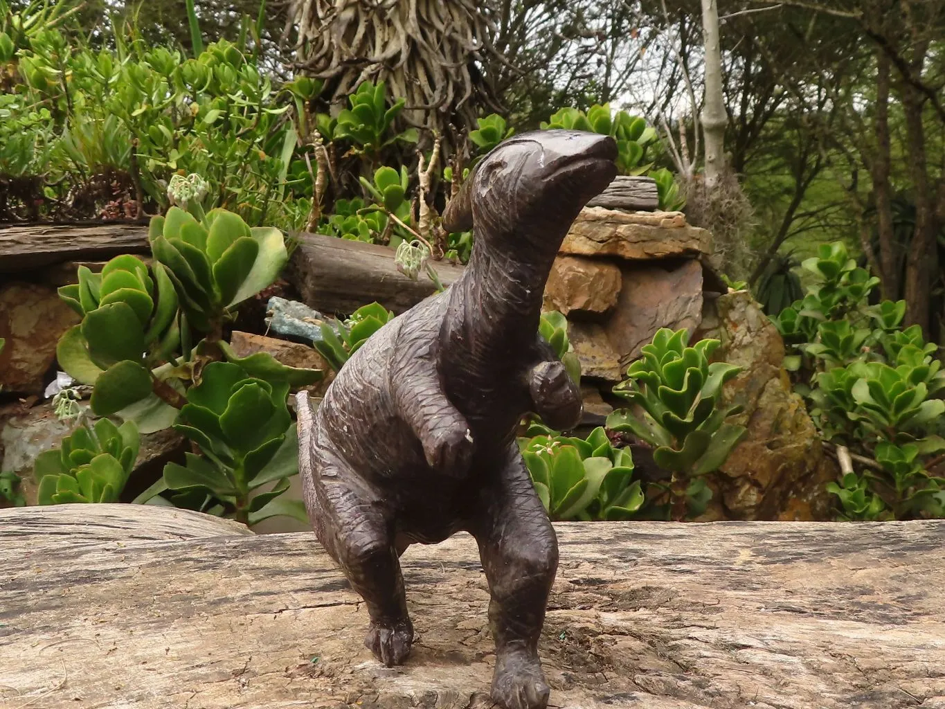Polished Soap Stone Dinosaur Carving x 1 From Zimbabwe