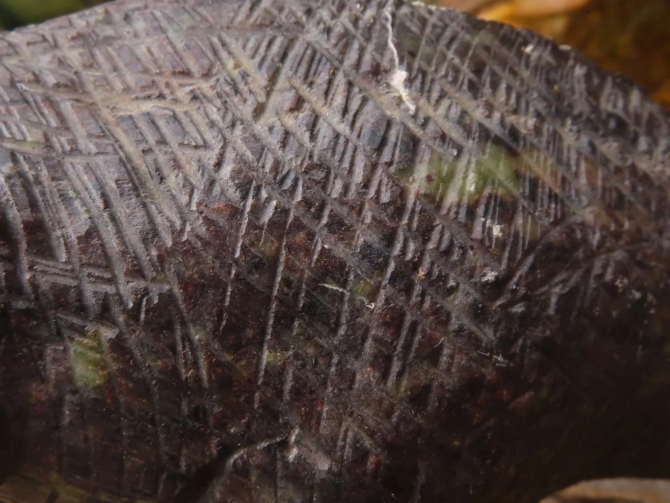 Polished Soap Stone Dinosaur Carving x 1 From Zimbabwe