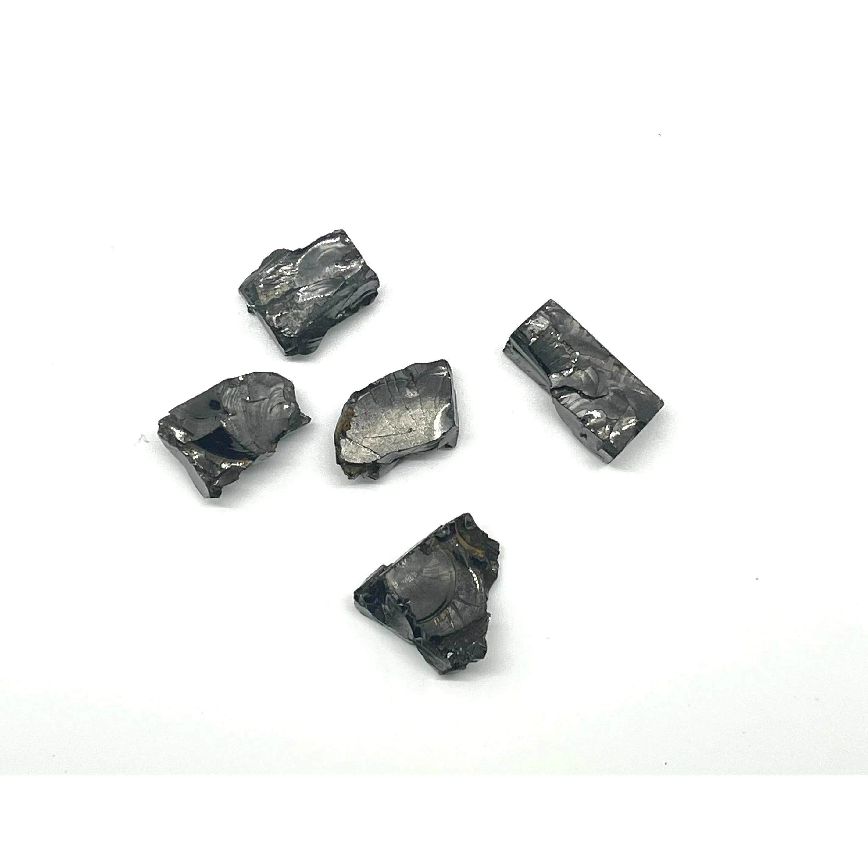 Shungite Elite Noble Silver Raw Stone
