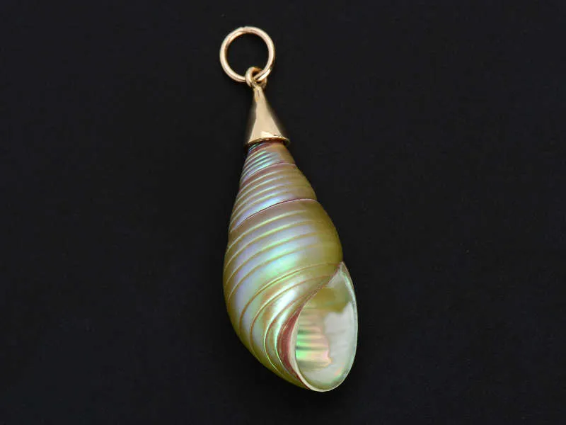 Tidal Waters - Maireeneer Shell Pendant in Gold